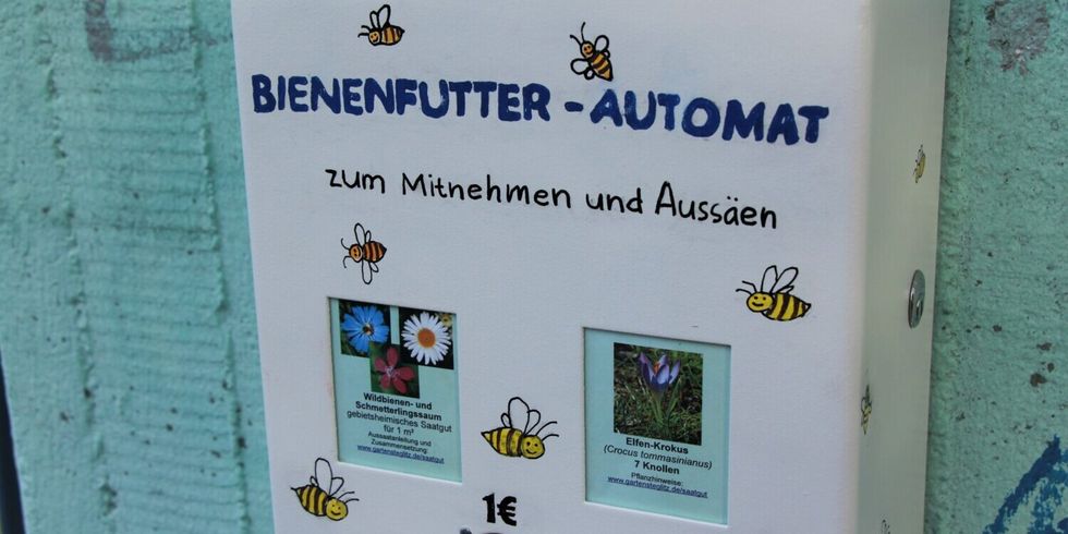 Bienenfutterautomat in Steglitz-Zehlendorf gefüllt mit Saatgut und Knollen