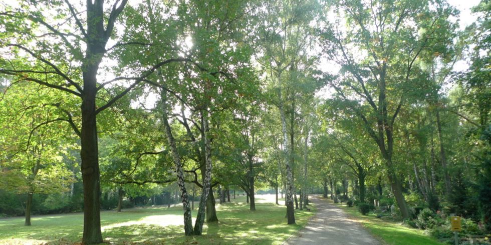 Waldfriedhof Zehlendorf