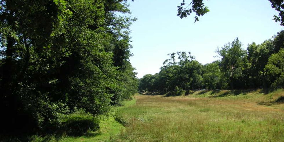 Rehwiese