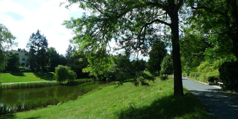 Foto Thielpark 1
