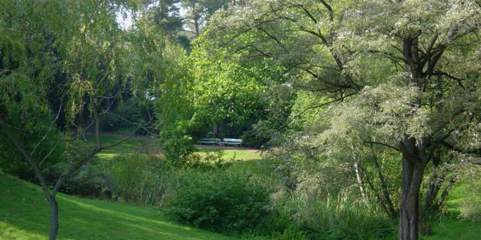 Thielpark