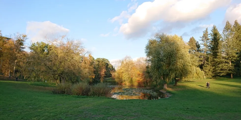 Fischtalpark 1
