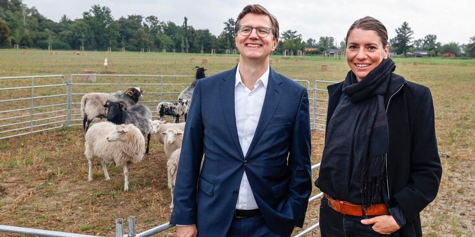 Ein Mann und eine Frau stehen nebeneinander auf einem Feld. Hinter den beiden sind eingezäunte Schafe.