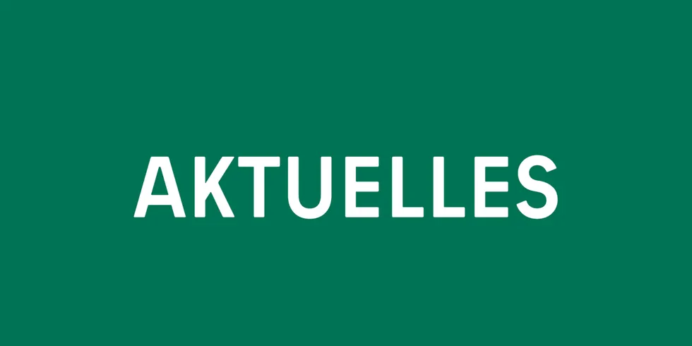 Schriftzug: Aktuelles