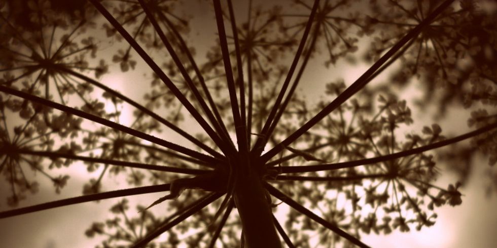 Startbild
