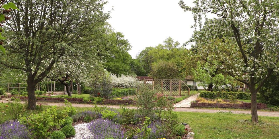 Gartenarbeitsschule Treptow-Köpenick, Bild: Leonie Grams