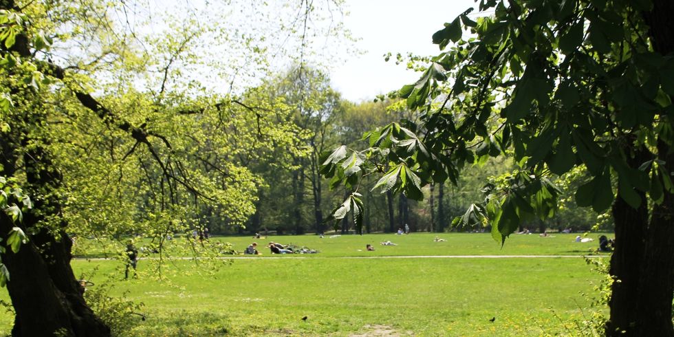 Grünanlage_Treptower Park