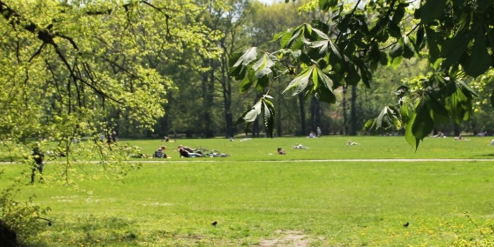 Grünanlage_Treptower Park