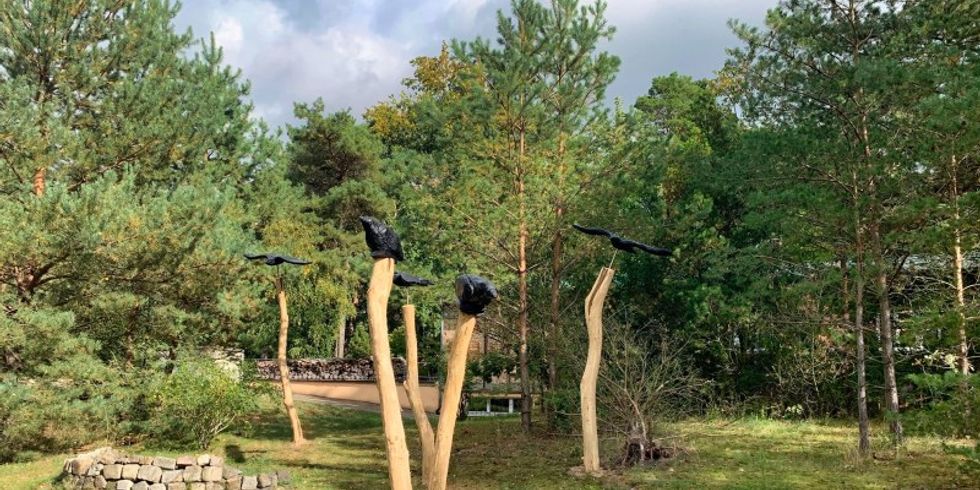Ausstellung "Kolkrabenflug über dem Kaniswall"
