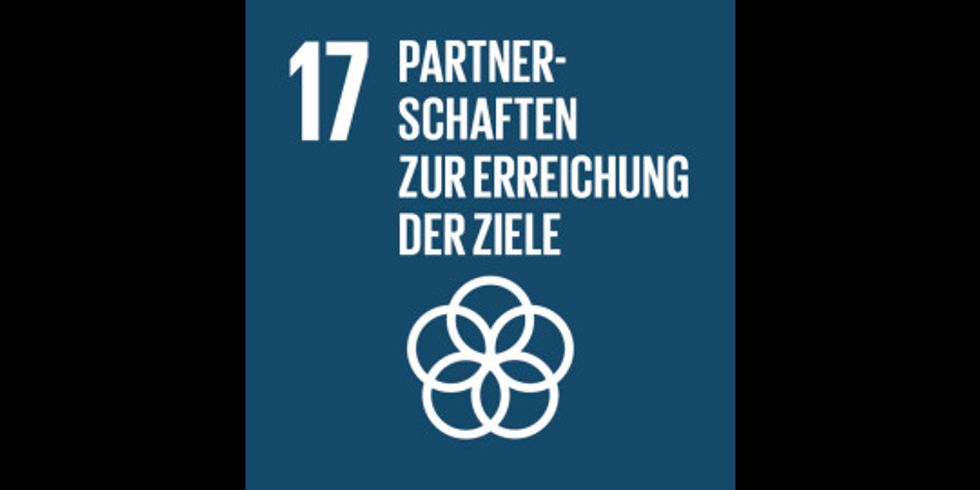 Globale Ziele - Nr. 17