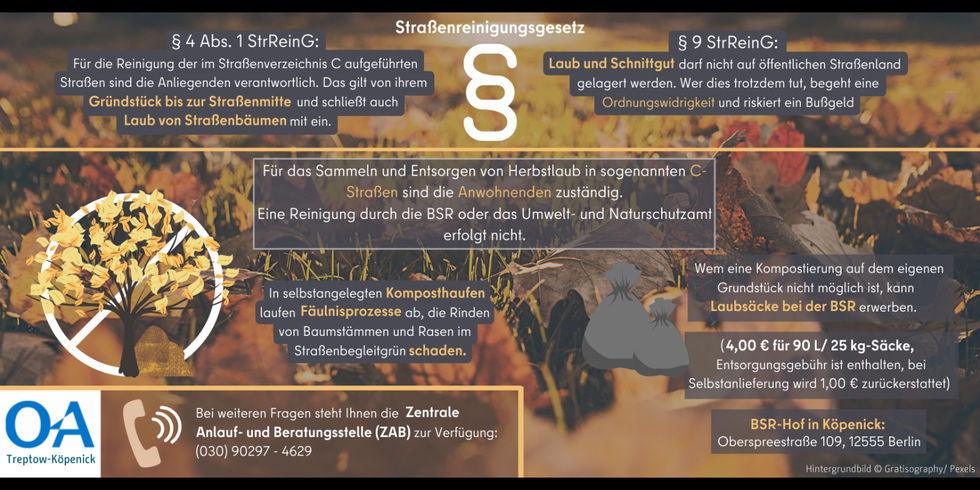 Informationen zum Herbstlaub