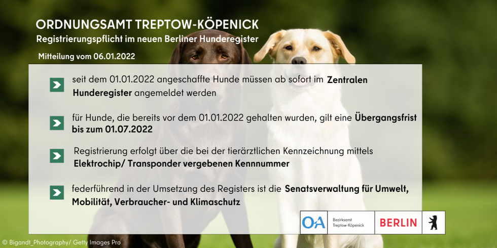 Ordnungsamt informiert zur Registrierung im Hunderegister