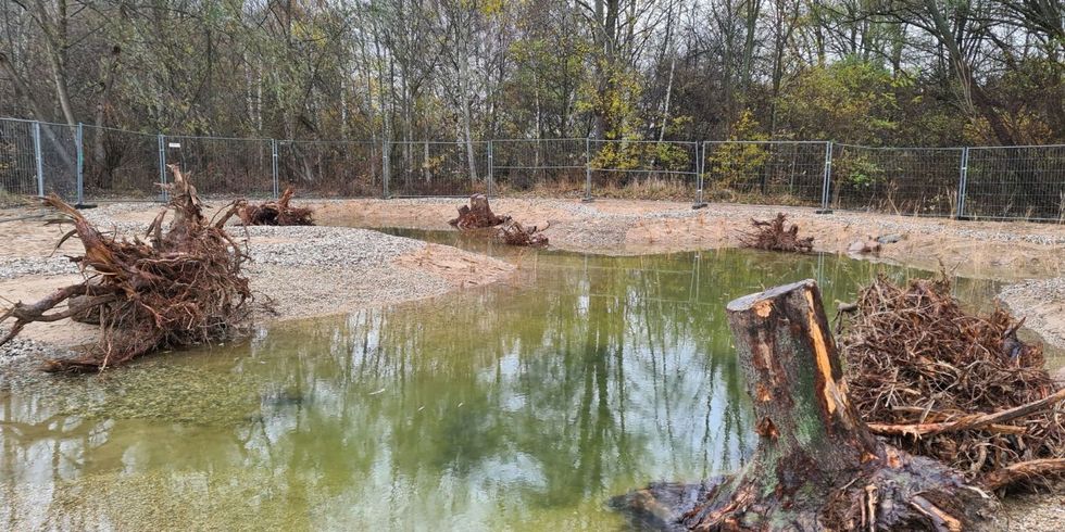 Neues Kleingewässer in der Wuhlheide