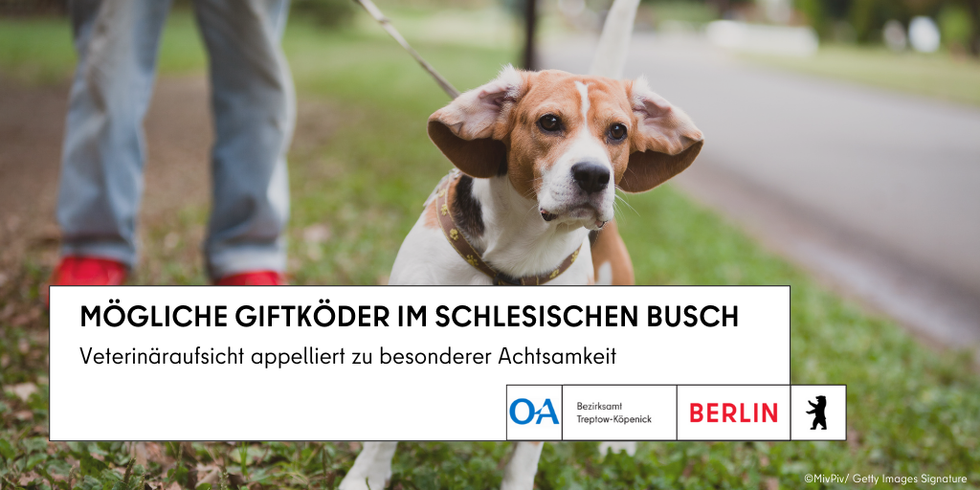 Mögliche Giftköder im Schlesischen Busch