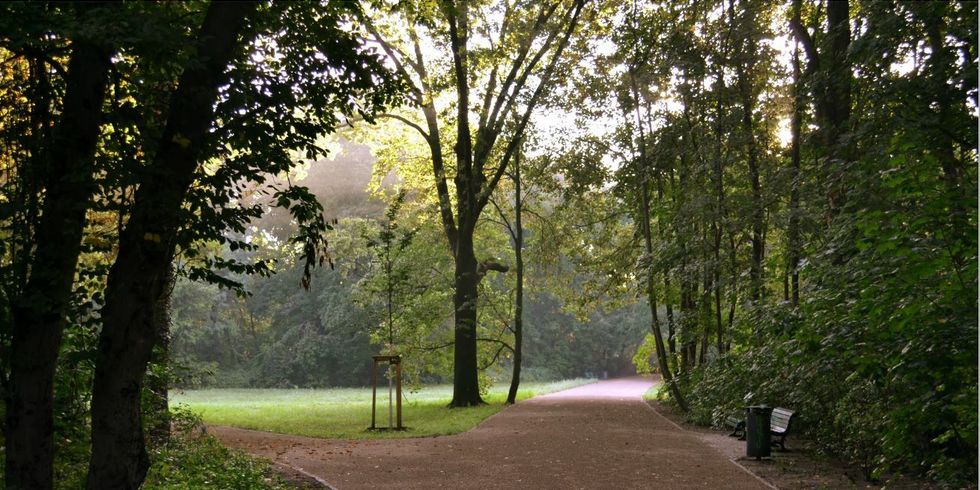 Grunderneuerung im südlichen Treptower Park - neue Wege