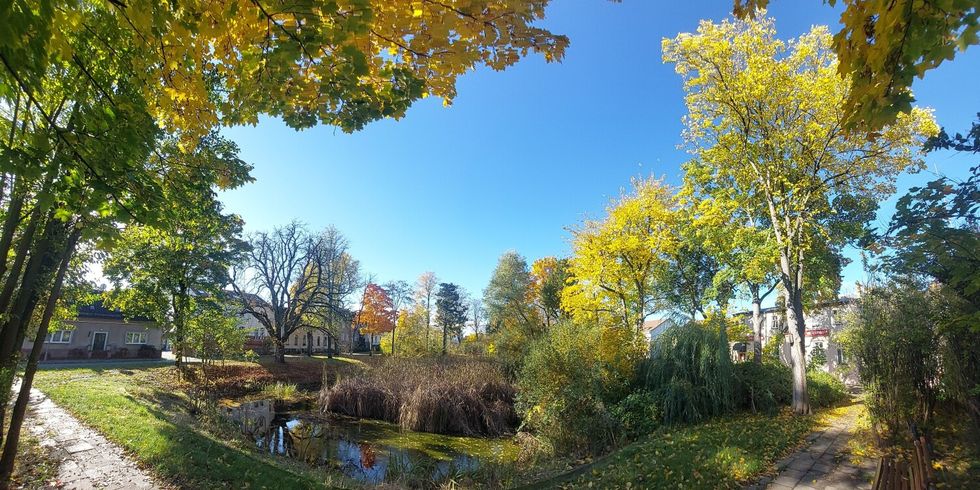 Panorama Dorfanger Bohnsdorf