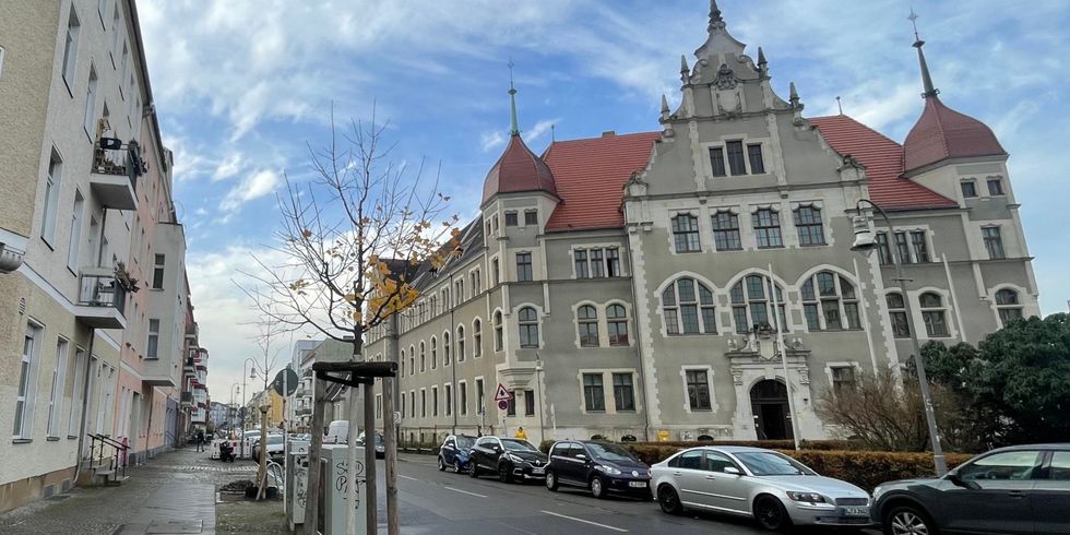 Straßenbaum Puchanstraße