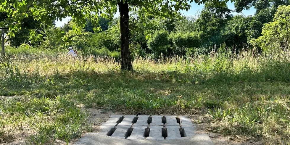 Entwässerung zur Streuobstwiese am Ellernweg