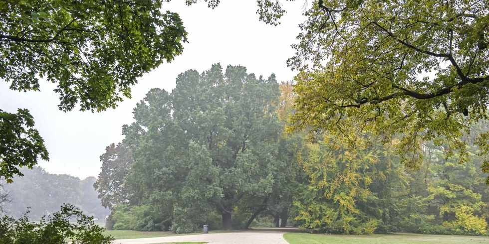 Treptower Park