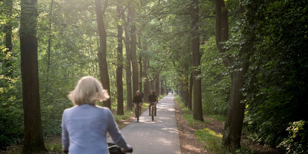 Fahrradfahrer in der Wuhlheide
