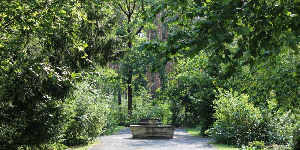 Friedhof Müggelheim Brunnen