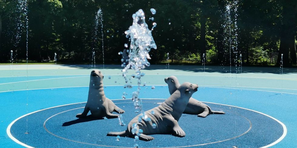 Wasserspeiende Seehunde im Ozeanstrudel - Themenbid