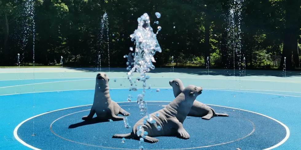 Wasserspeiende Seehunde im Ozeanstrudel - Themenbid