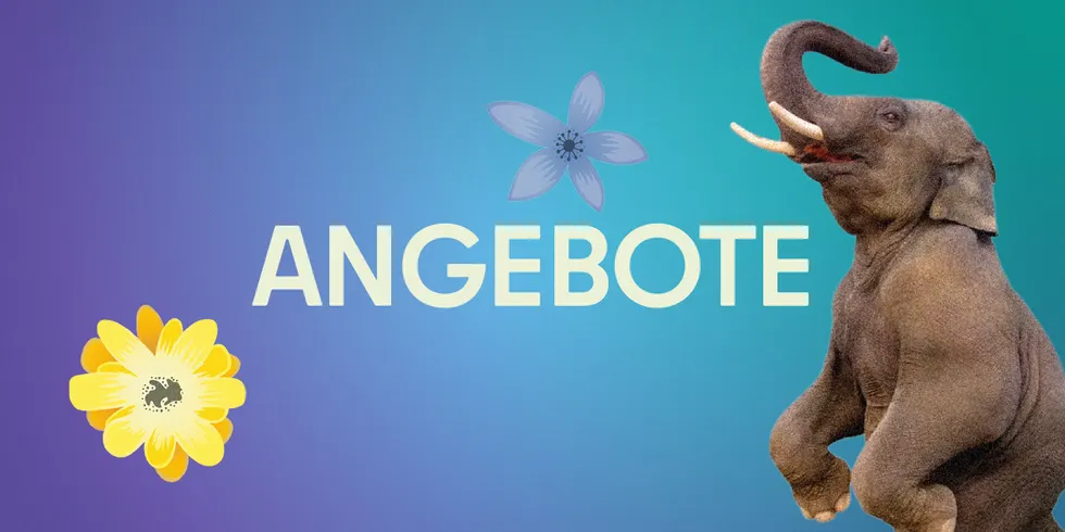 Titelbild Angebote