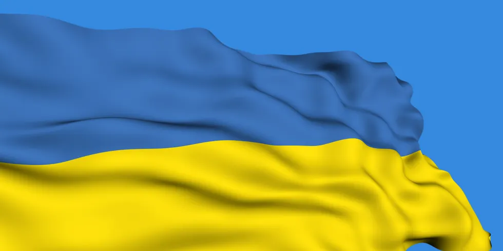 Flagge der Ukraine weht im Wind