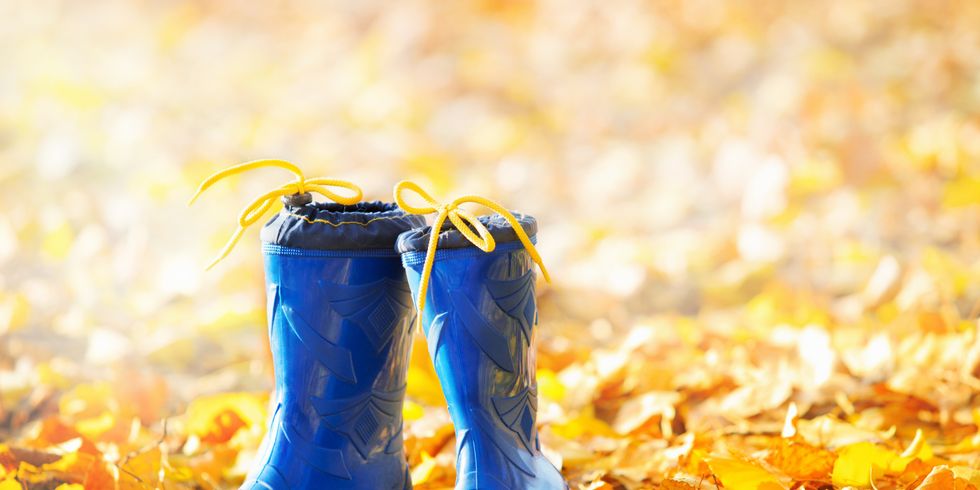 blaue Gummiestiefel im Herbstlaub