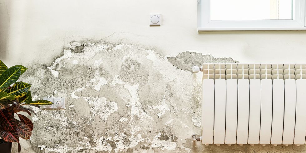 Schimmel und Feuchtigkeitsansammlungen an der Wand eines modernen Hauses