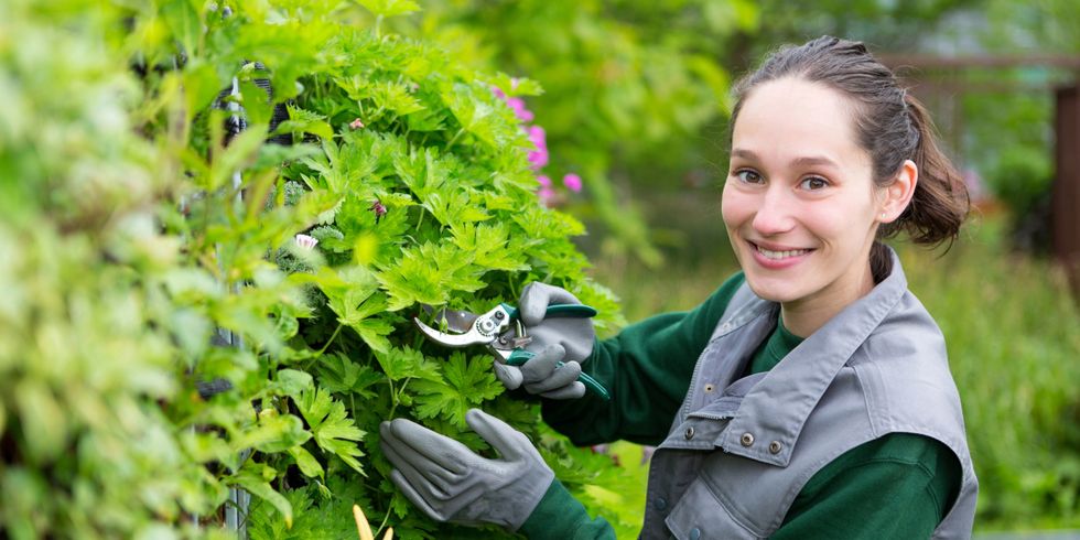Frau arbeitet im Garten