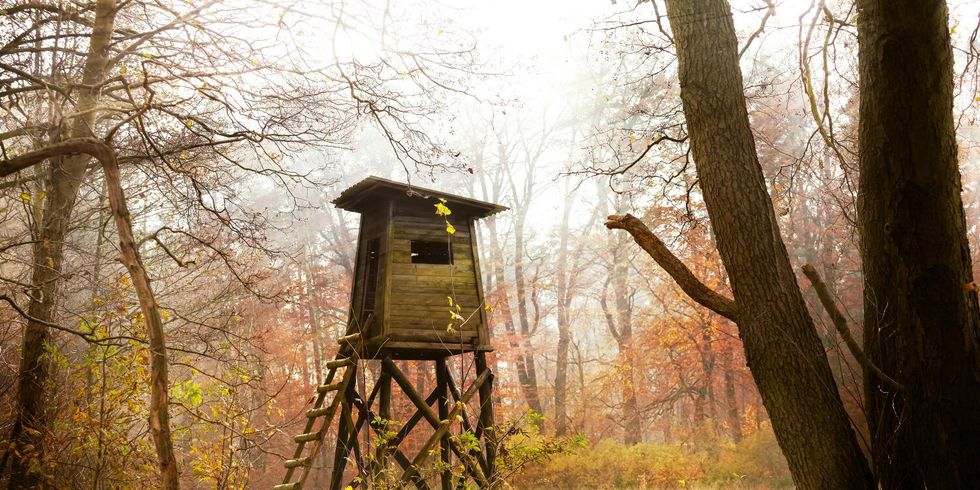 Jagdkanzel im Wald bei Sonnenaufgang