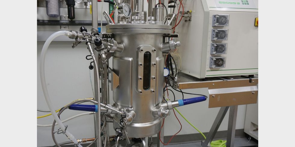 Bioreaktor in einem Labor