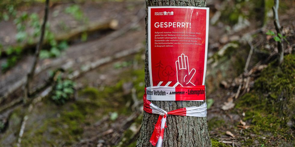Sperrschild: Betreten des Waldes verboten