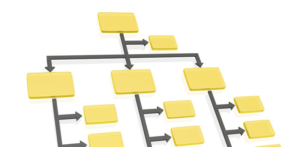Organigramm