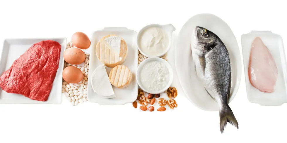 Ein Stück rohes Rindfleisch, Hähnchenbrust, ein roher Fisch, Eier, Käse, weitere Milchprodukte, Nüsse und Bohnenkerne