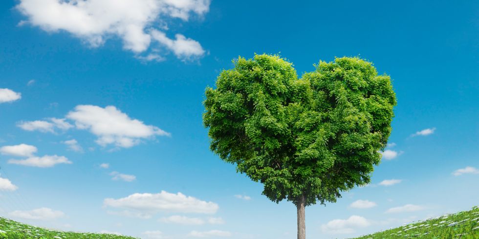 Herzförmiger Baum auf einer Blumenwiese