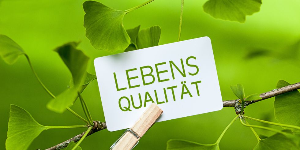 Klee mit Spruch Lebensqualität