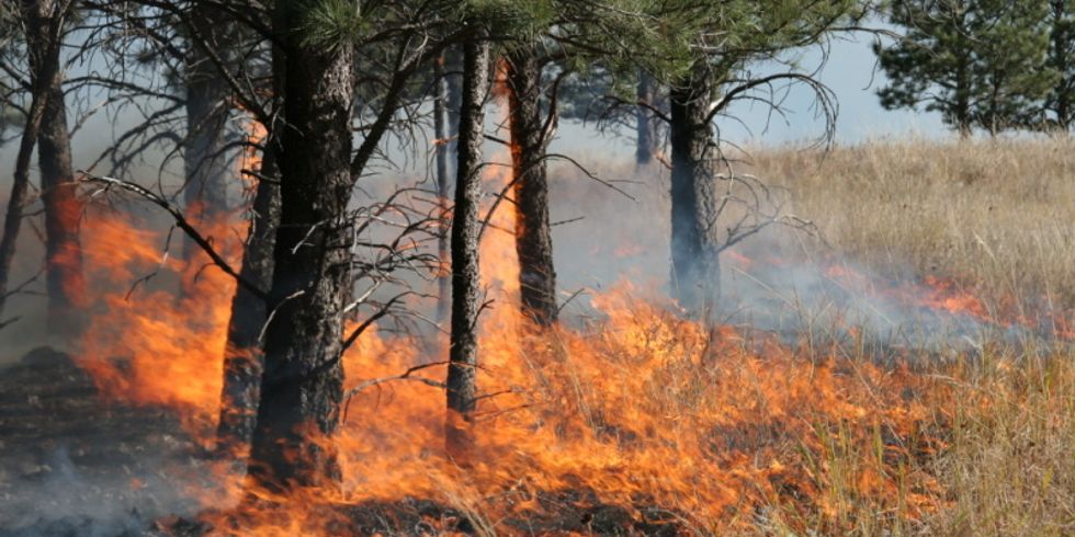 Waldbrand
