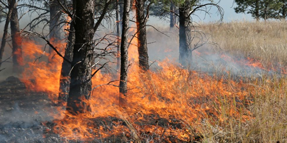 Waldbrand