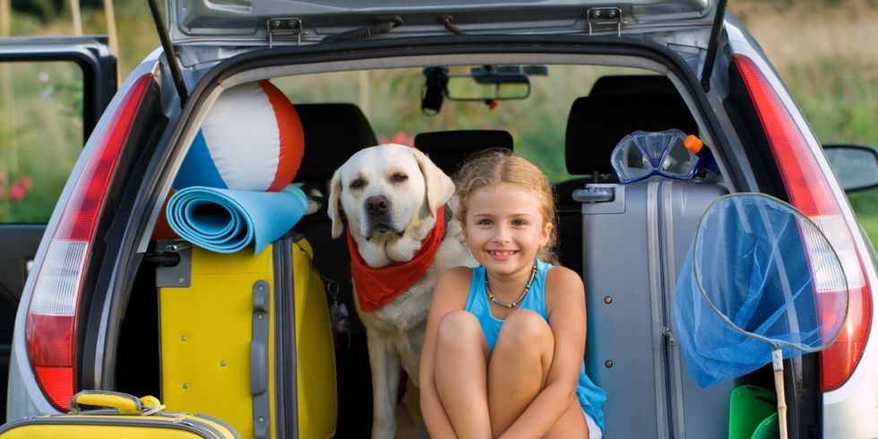 Ein kleines Mädchen und ein Hund sitzen neben Koffern im offenen Kofferaum eines PKW´s