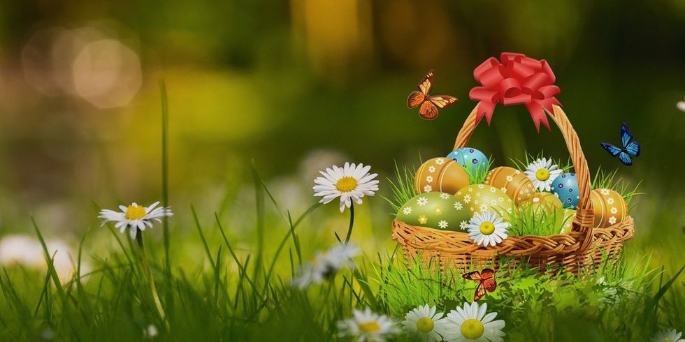 Ein Korb voller Ostereier steht auf einer Frühlingswiese