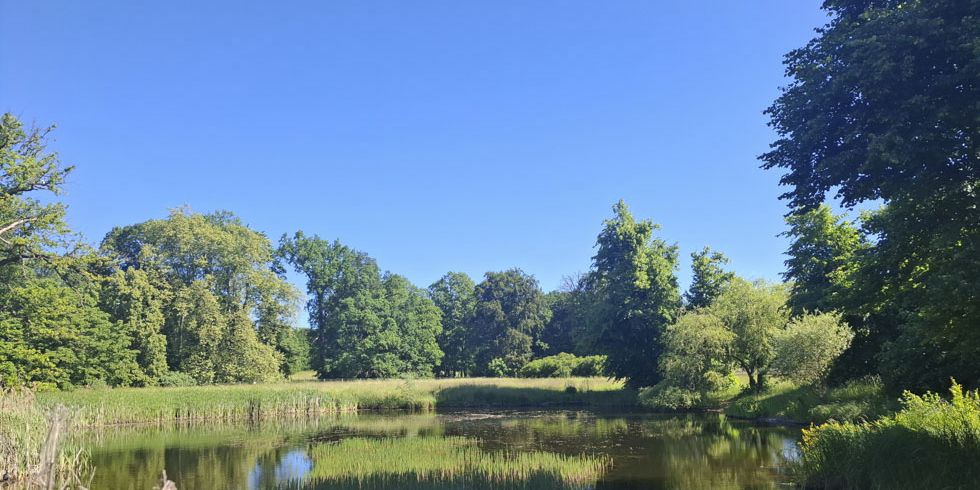 Schlossteich im Schlosspark Glienicke