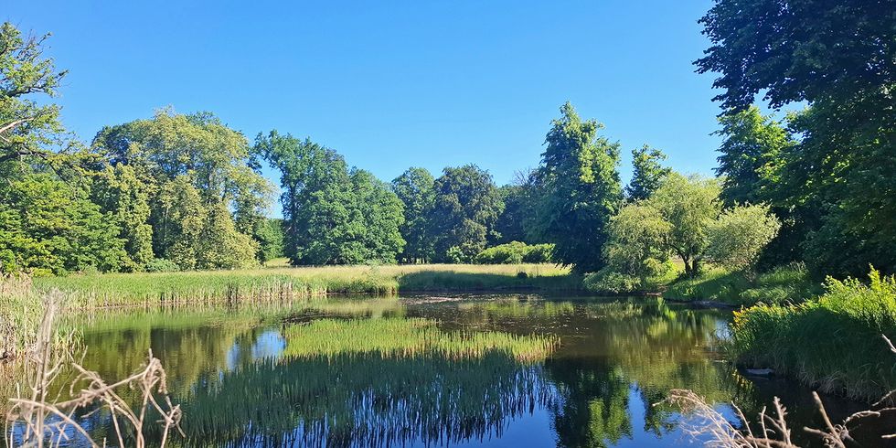 Schlossteich im Schlosspark Glienicke