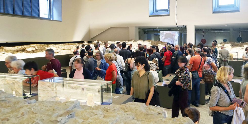 Das PETRI Berlin bei der Langen Nacht der Museen 2025