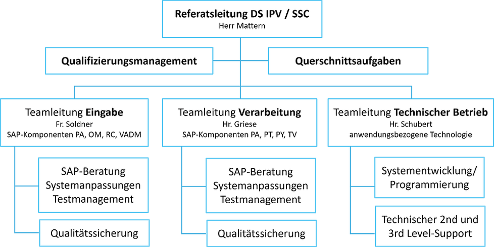 Organigramm DS IPV