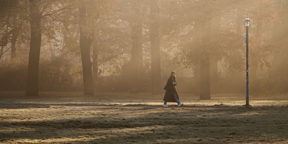 Mensch in nebligem Park