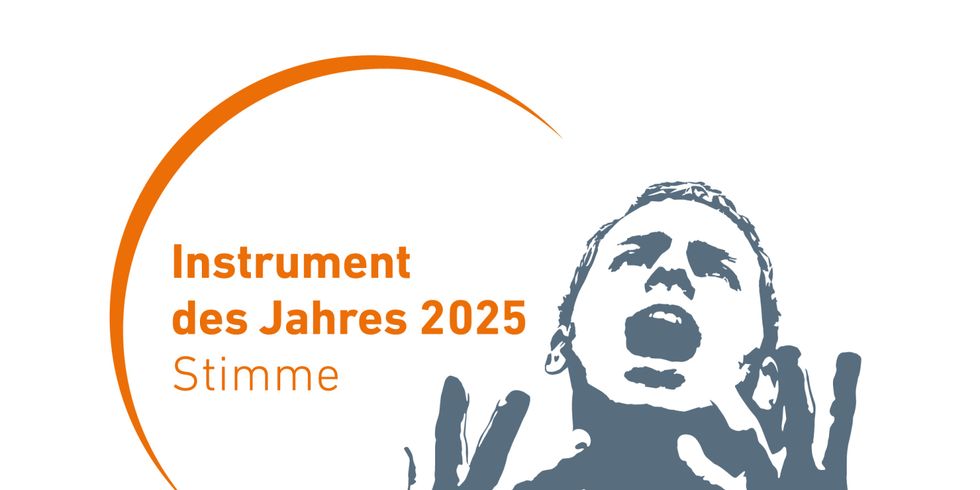 Logo Instrument des Jahres