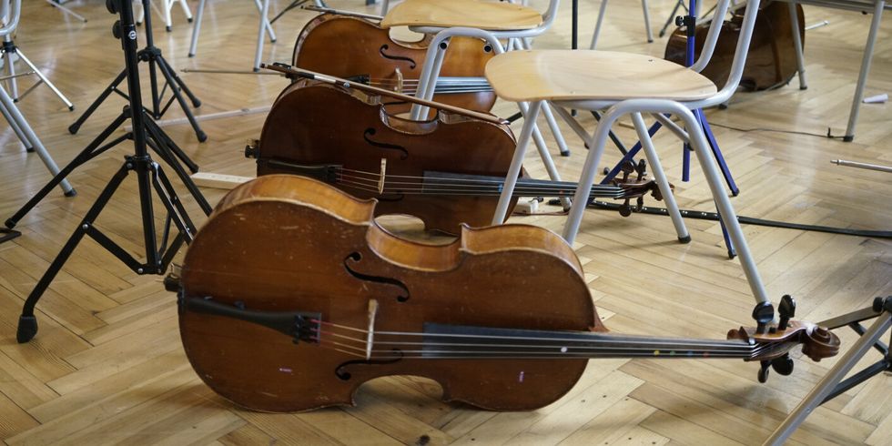 3 Celli liegen nebeneinander aufgereicht.